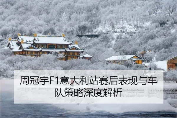 周冠宇F1意大利站赛后表现与车队策略深度解析
